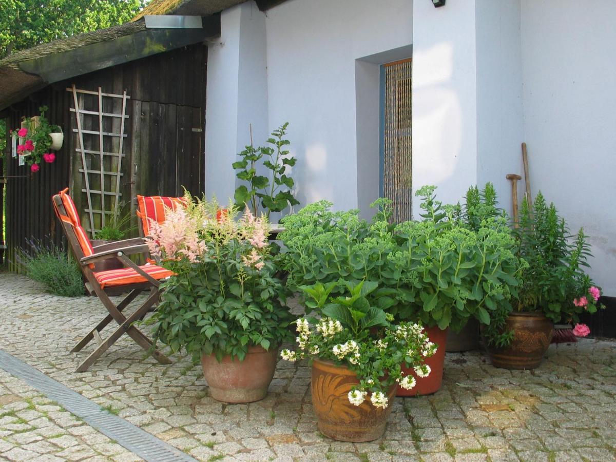 Zum Schwarzen Stiefel- Ferienwohnung Atelierhaus Rankwitz Экстерьер фото